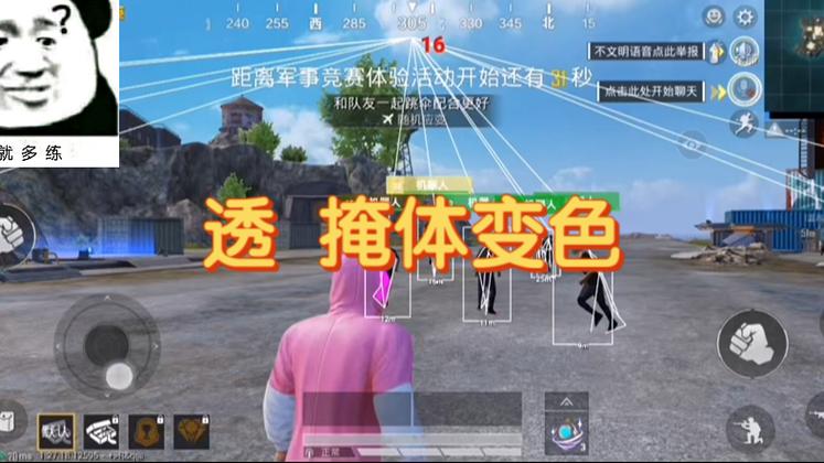 和平精英火焰鸟辅助 - 三端通用直装透视挂
